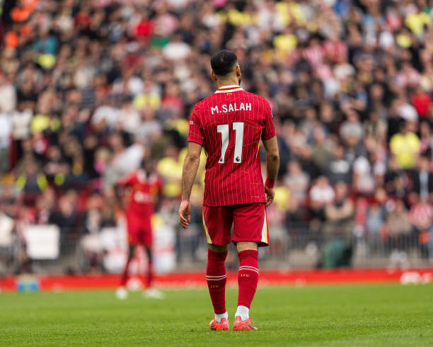 这种体系化 这种体系化